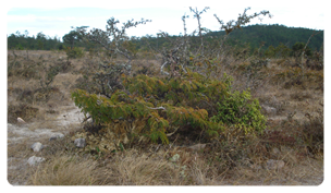 Casa Del Arroyo La Esperanza, Honduras