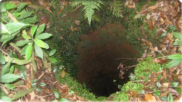 Casa Del Arroyo La Esperanza, Honduras